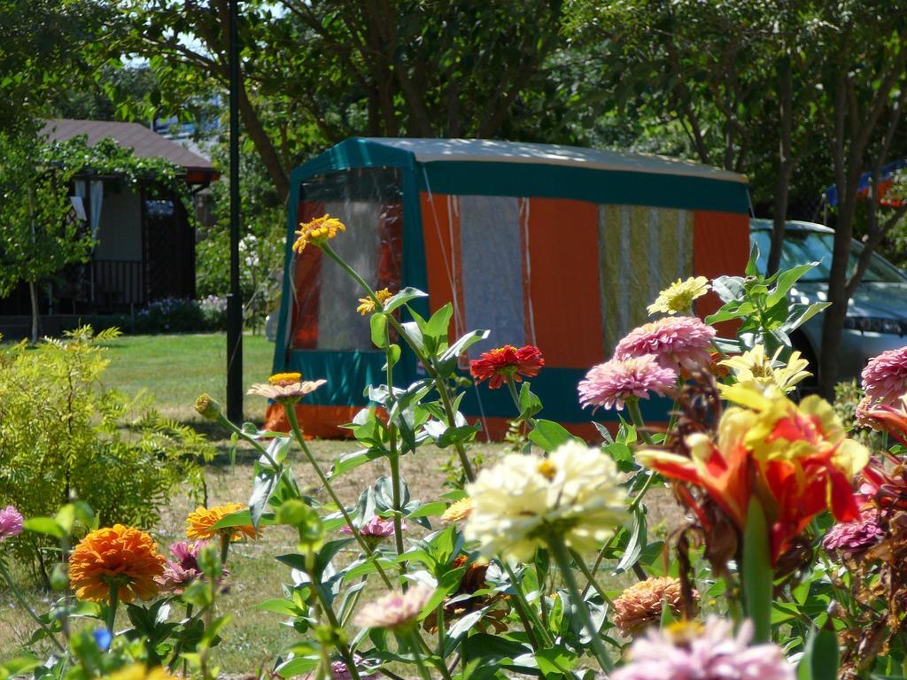 Zora Camping - 2* Obzor