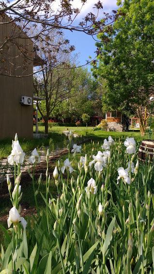 Campsite Zora Camping - 2*